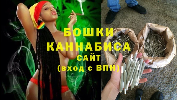 СК Аркадак