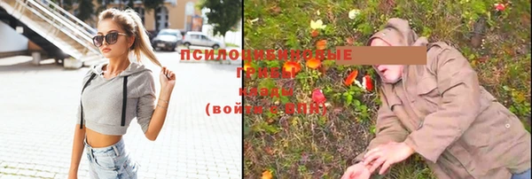 экстази Арсеньев